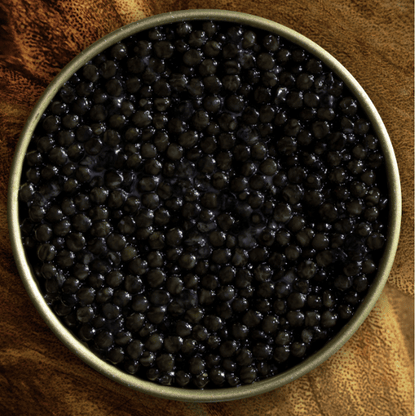 Royal Baeri Sturgeon Caviar – 30g/50g
